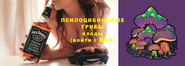 ALPHA-PVP Инсар