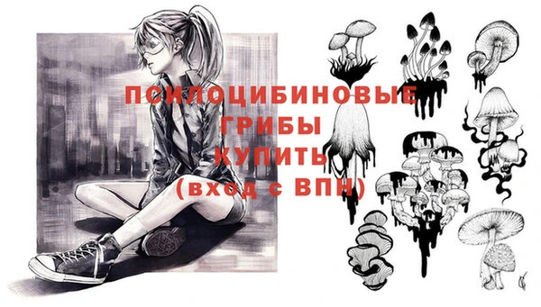 ALPHA-PVP Инсар