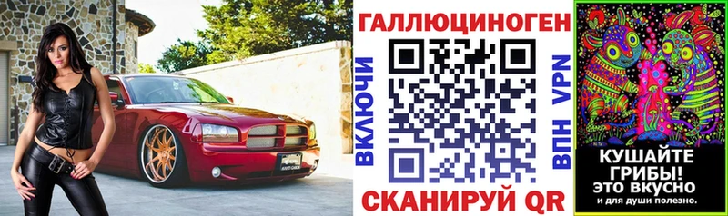 Купить закладки  Гудермес  Галлюциногенные грибы Psilocybine cubensis 